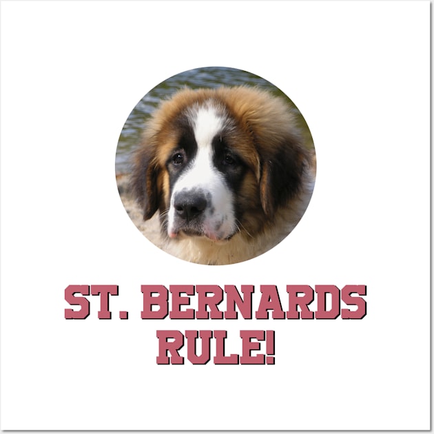 St. Bernards Rule! Wall Art by Naves